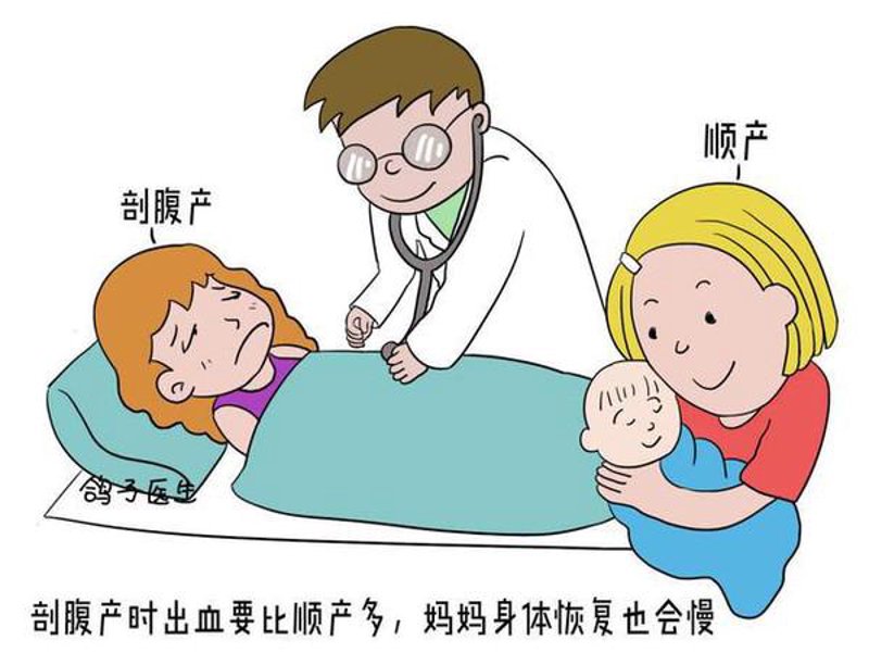2026年,产科纪录片将不再是简单的分娩记录,而是生命叙事的艺术革命